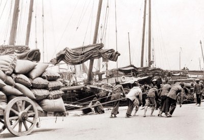 Havnen i Hong Kong omkring 1880. af Unknown photographer