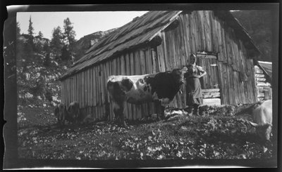 Vorderbachalm (bjergsæde) med alpehytte nær Goessl ved Grundl-søen af Unknown photographer
