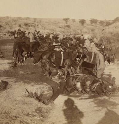 Vanding af artilleriheste, Welgelegen, Sydafrika af Unknown photographer