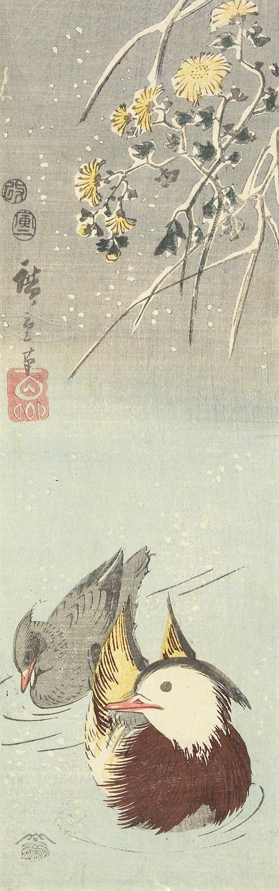(krysantemum og mandarinænder), februar 1854 af Utagawa Hiroshige