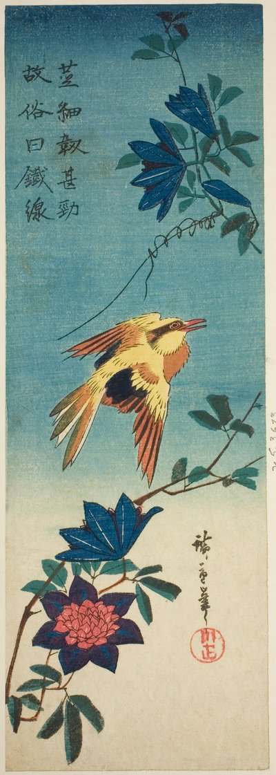 (Faksimile?) Sortnavet oriole og klematis af Utagawa Hiroshige