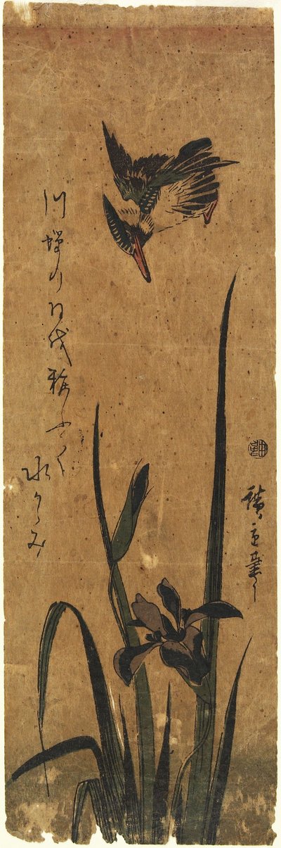 (Iris og Isfugl), 1830-1858 af Utagawa Hiroshige