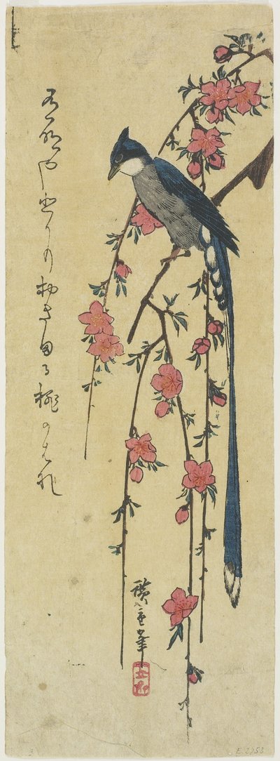 (Langhale hane på hængende kirsebærtræ) af Utagawa Hiroshige