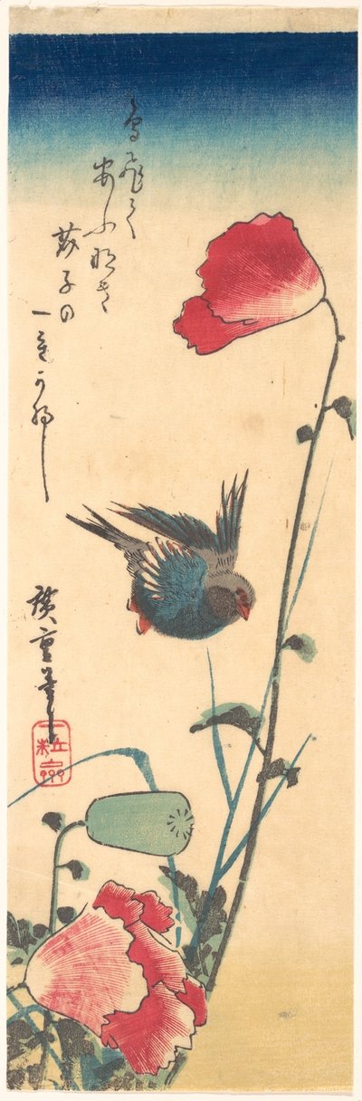 Ein Blaukehlchen und Mohnblumen af Utagawa Hiroshige