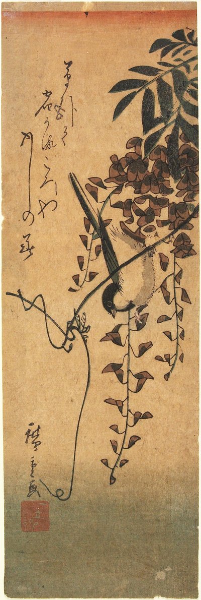 Vogel auf Glyzinienranke af Utagawa Hiroshige