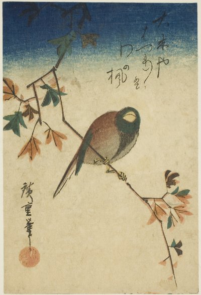 Fugl på ahorngren af Utagawa Hiroshige
