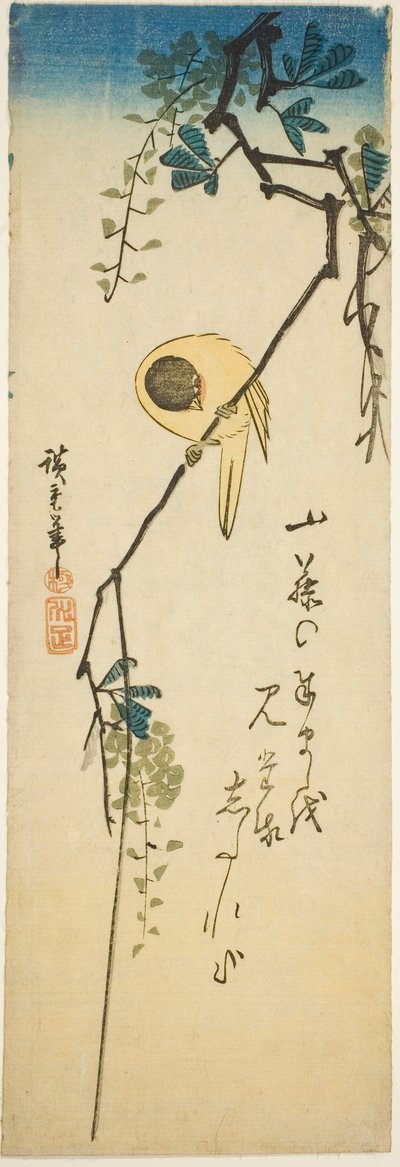 Fugl på silkeblød blåregn af Utagawa Hiroshige