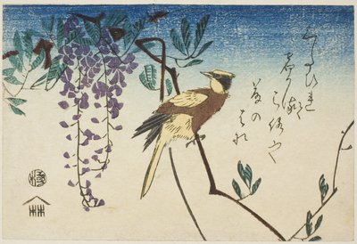 Sortnavet oriole og blåregn af Utagawa Hiroshige