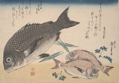 Sortebrasen, småbrasen, aspargesskud og Sansho-peber, ca. 1830 af Utagawa Hiroshige