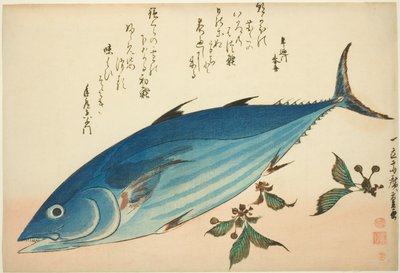 Bonito og saxifrage, fra en unavngivet serie af fisk af Utagawa Hiroshige