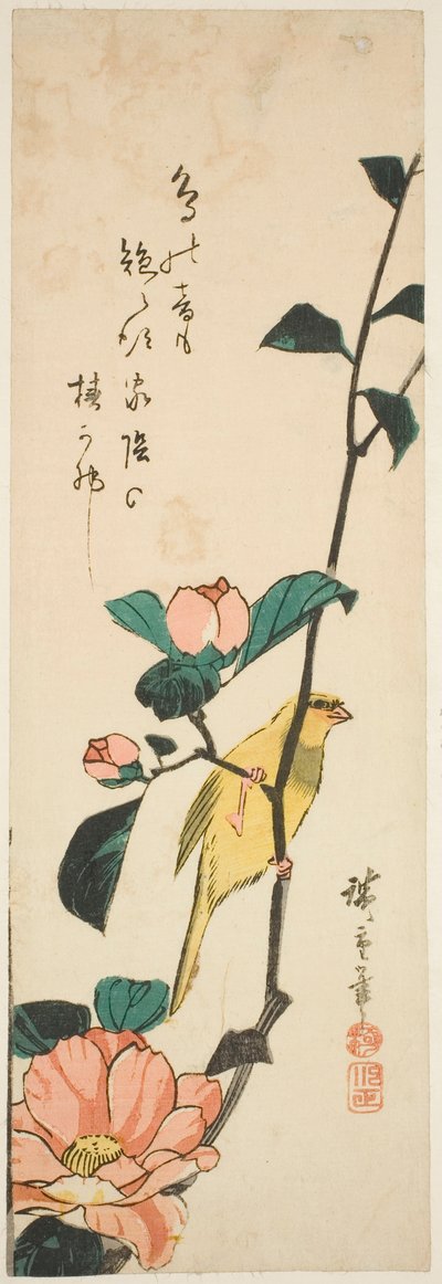 Kanariefugle og kameliaer af Utagawa Hiroshige