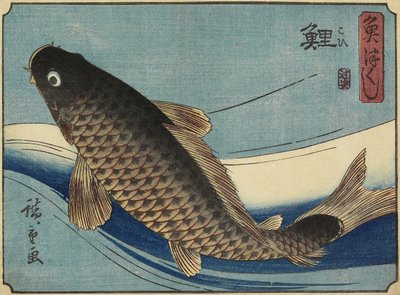 Karpe, 1830-1844 af Utagawa Hiroshige