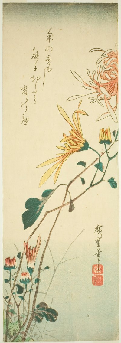 Krysantemum af Utagawa Hiroshige