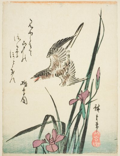Gøg flyver over iris af Utagawa Hiroshige