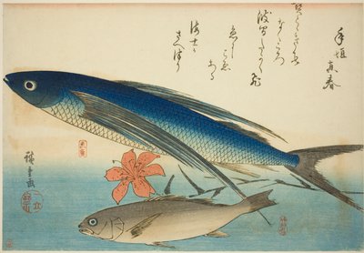 Flyvefisk og Ichimochi, fra en unavngiven serie af fisk af Utagawa Hiroshige