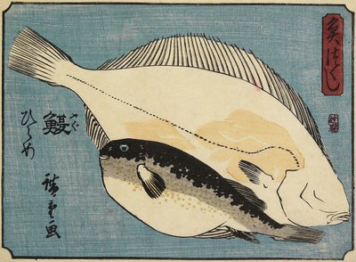 Kuglefisk og skrubbe, 1830-1844 af Utagawa Hiroshige