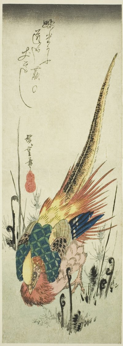 Guldfasan og brakkebregner af Utagawa Hiroshige