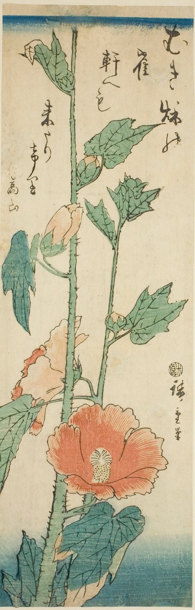 Hibiscus af Utagawa Hiroshige