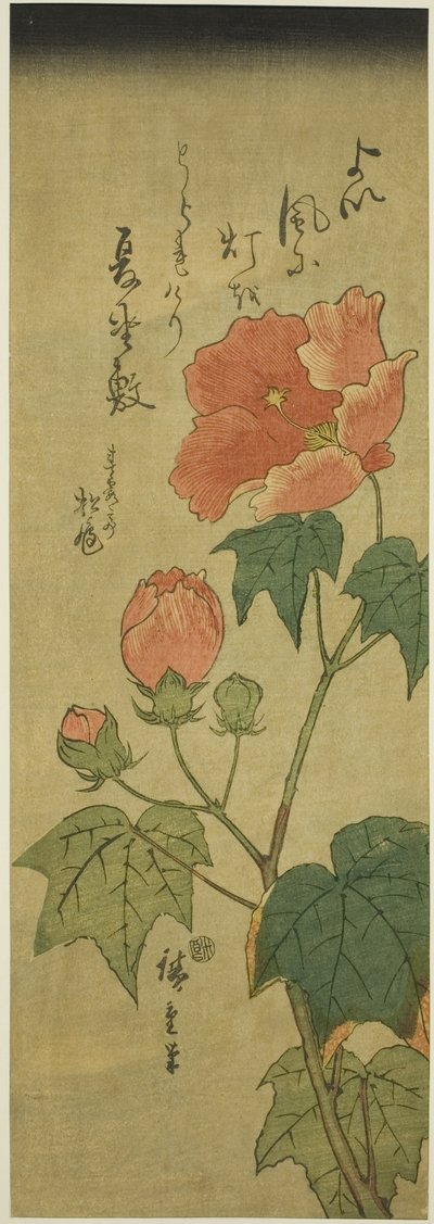 Hibiscus af Utagawa Hiroshige