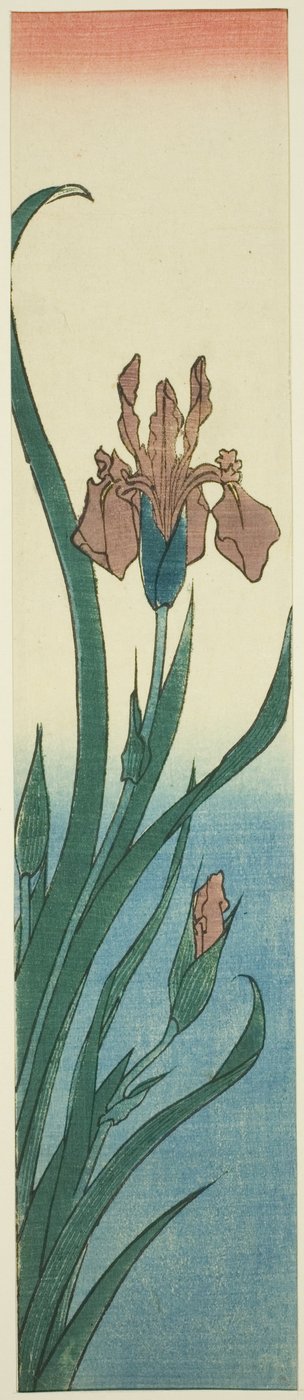 Iris af Utagawa Hiroshige