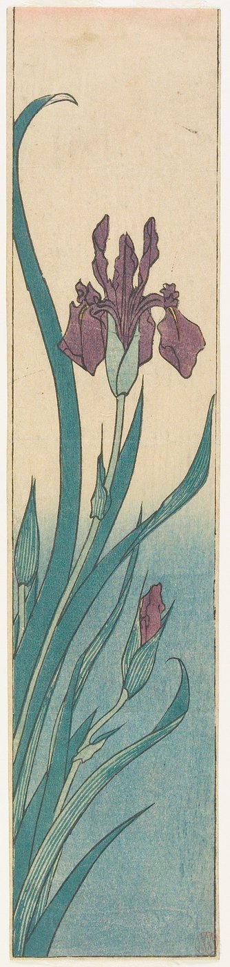 Iris af Utagawa Hiroshige
