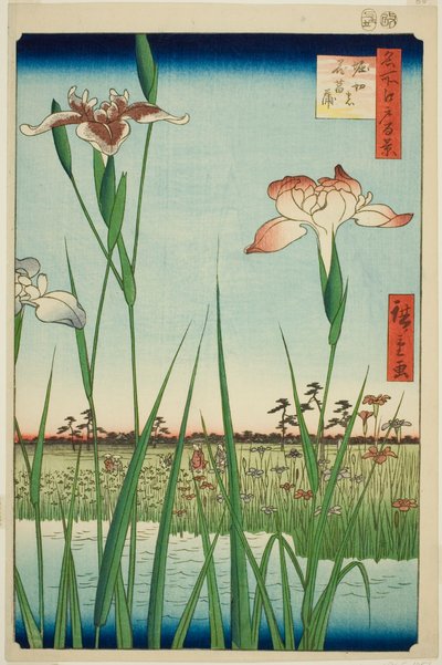 Irase s at Horikiri (Horikiri no Hanadokorobe), fra seriens ``Ridge dre d fa net s views of Edo (One Hundred Famous Views of Edo)