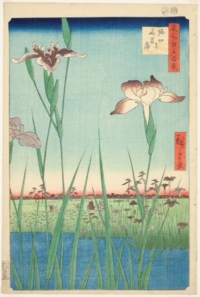 Irase s at Horikiri (Horikiri no Hanadokorobe), fra seriens ``Ridge dre d fa net s views of Edo (One Hundred Famous Views of Edo)