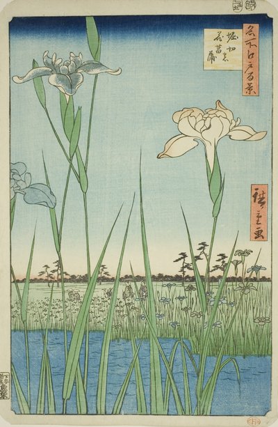 Irase s at Horikiri (Horikiri no Hanadokorobe), fra seriens ``Ridge dre d fa net s Views of Edo (One Hundred Famous Views of Edo)