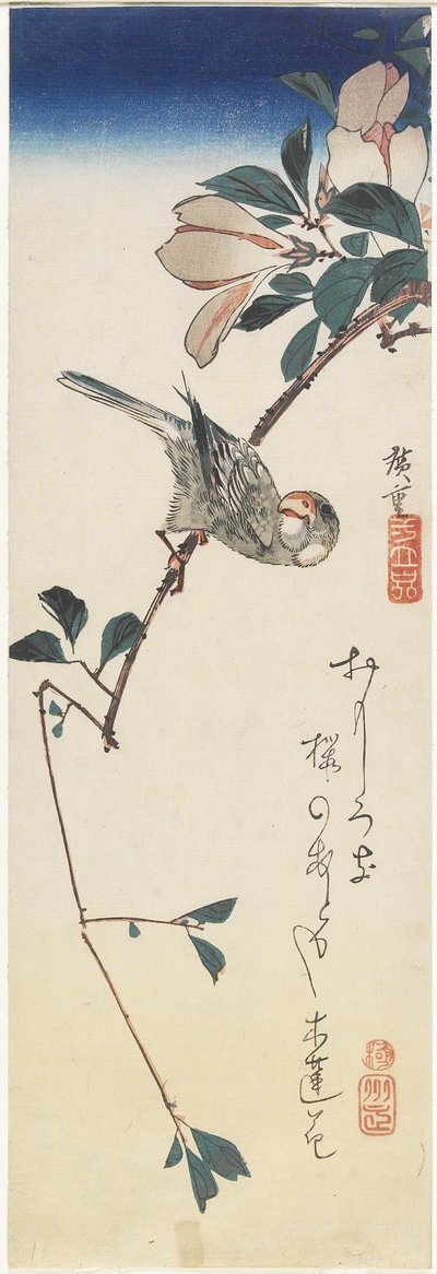 Java Sparrow og Magnolia, 1834-1839 af Utagawa Hiroshige