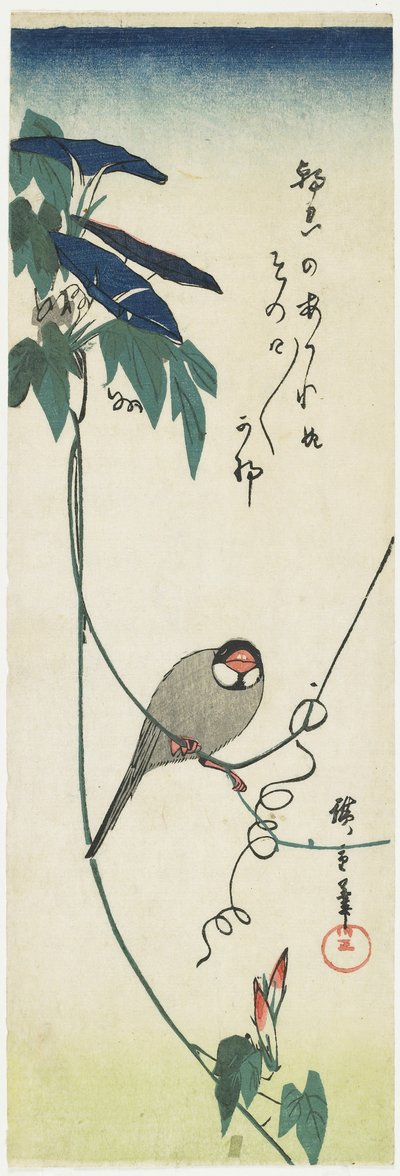 Java Sparrow and Morning Glories, 1834-1839 af Utagawa Hiroshige