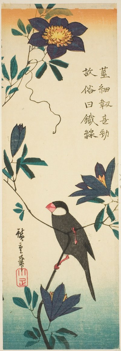 Javaspurv og klematis af Utagawa Hiroshige