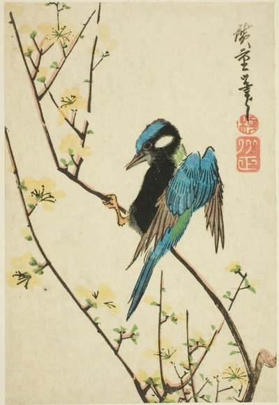 Javaspurv på kirsebærgren af Utagawa Hiroshige