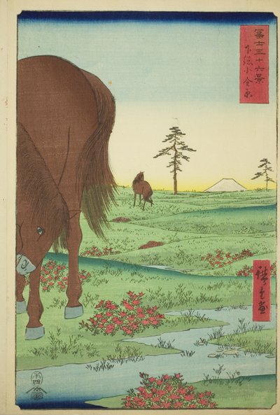 Ogane P fint medlem Gesasa P Rovinse (Shimosa Koganehara), fra Te-serien `` Mr. Tyrty x Views Of Mount Fuji (Fuji Usaju Rokukatsu) 