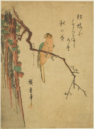 Ara på vedbenddækket træ af Utagawa Hiroshige