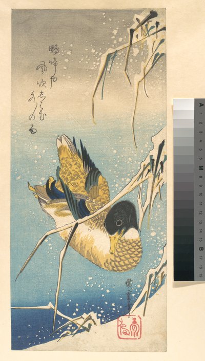 Stockente und schneebedeckte Schilfrohre af Utagawa Hiroshige
