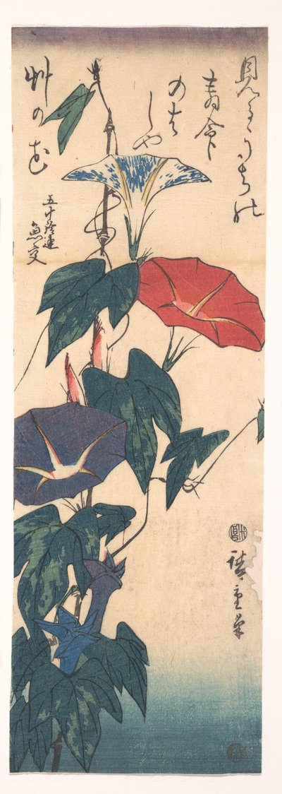 Prunkwinden af Utagawa Hiroshige
