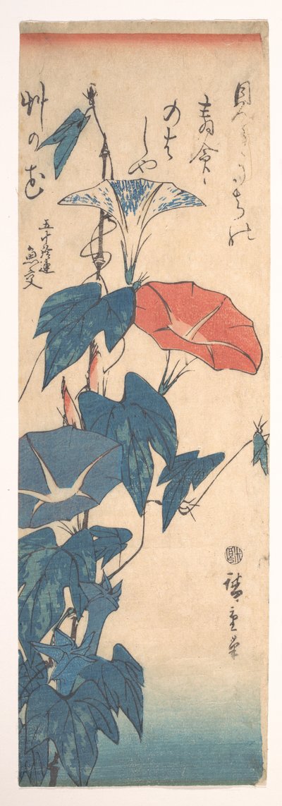 Prunkwinden af Utagawa Hiroshige