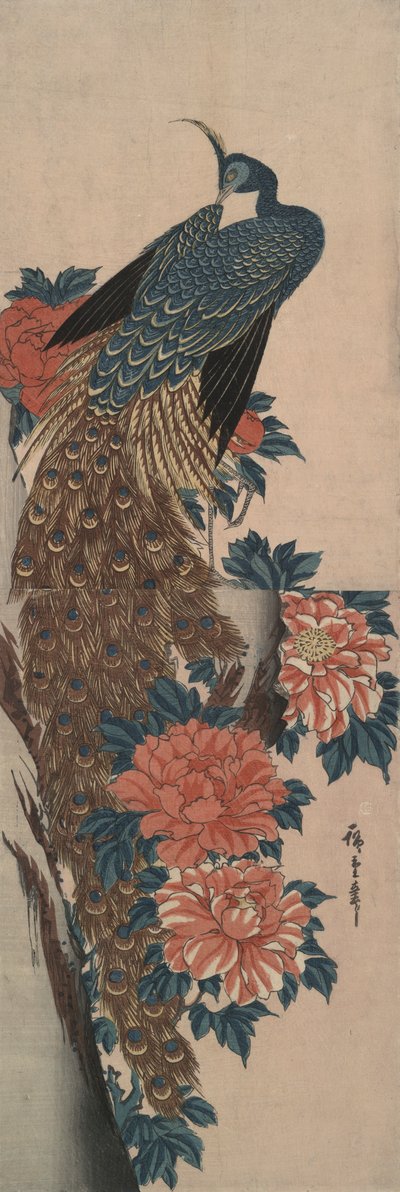 Påfugl og pæoner af Utagawa Hiroshige