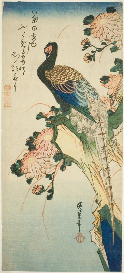 Fasan og krysantemum af Utagawa Hiroshige