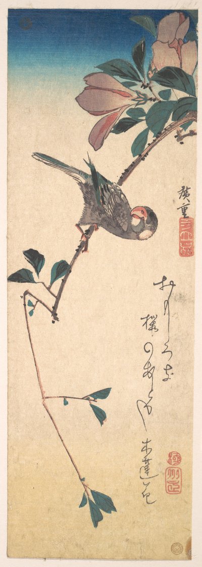 Purpurmagnolie und Hornvogel af Utagawa Hiroshige