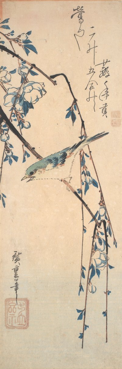 Rødflankeret blåhale på en kirsebærgren af Utagawa Hiroshige