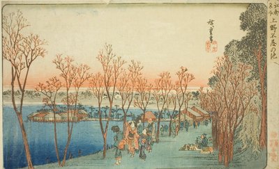 Shinobazu Pond at Ueno (Shinobazu Pond), fra Teseries af Utagawa Hiroshige