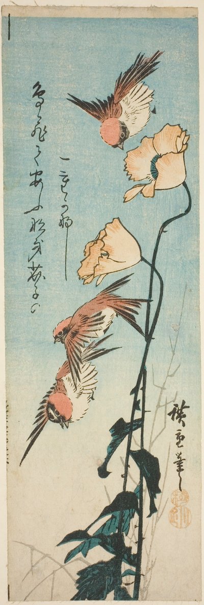 Spurve og valmuer af Utagawa Hiroshige