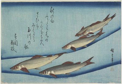 Sødfisk, 1832-1833 af Utagawa Hiroshige