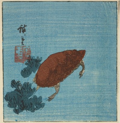 Skildpadde af Utagawa Hiroshige
