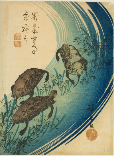 Skildpadder svømmer i en å af Utagawa Hiroshige