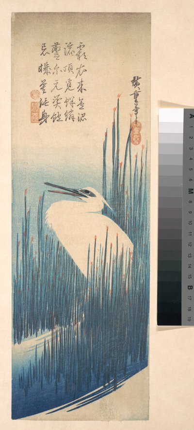 Hvid hejre blandt siv af Utagawa Hiroshige