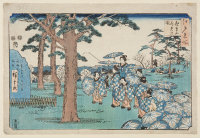 Visning af kirsebærblomster ved Asuka Hill (Asukayama hanami no zu) (træblok i farver) af Utagawa II Hiroshige