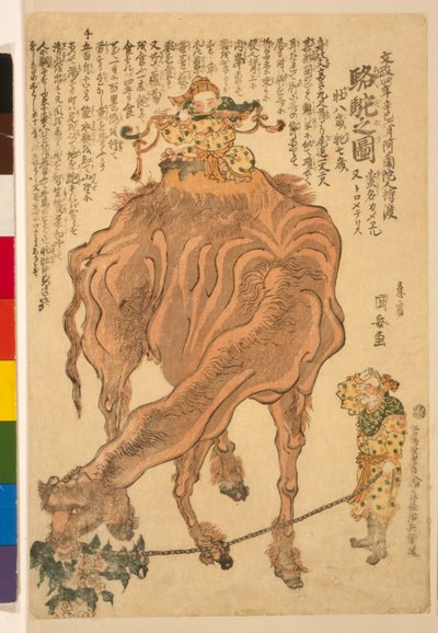 En kamel, pub. 1824 (håndfarvet træsnit) af Utagawa Kuniyasu