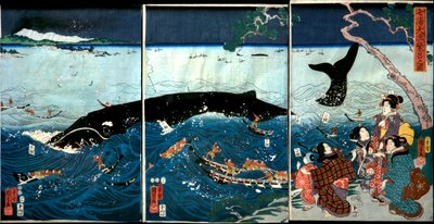 De syv kysters opblomstring med store fisk (Nana ura tairyō hanjō no zu) af Utagawa Kuniyoshi
